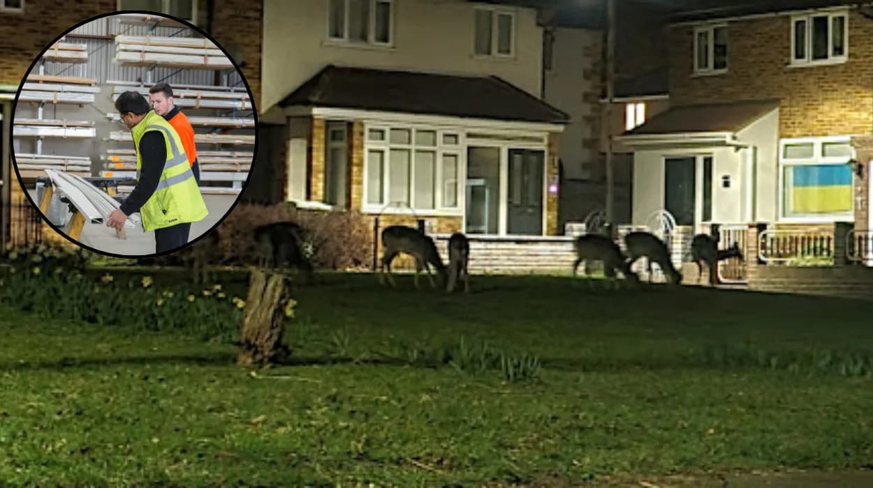 London shop workers hit by acid threats in 2026