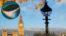 Trump opposes UK's Chagos deal in 2026 shift