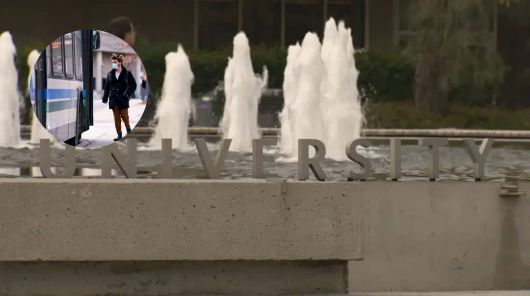 London Transit Loses Almost 2 Million Riders from International Student Caps