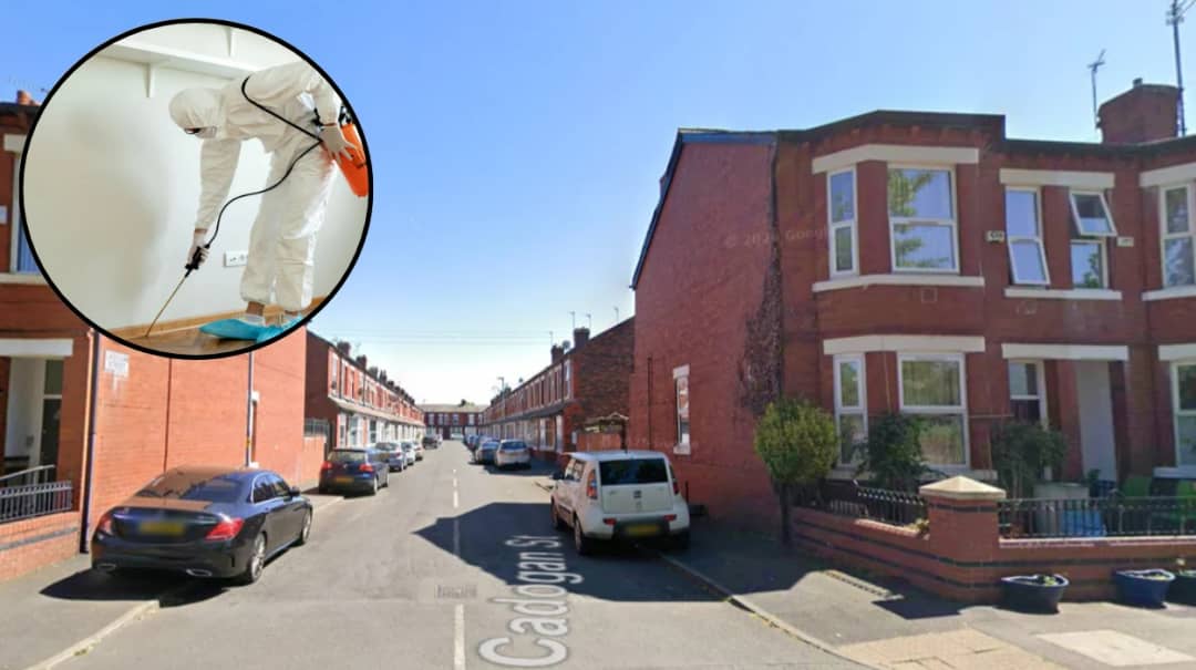 West London housing branded ‘Rat City’ issue in 2026