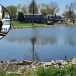 Police seize 2M cannabis in Huron raid