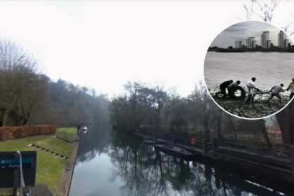 South East London River Clean-Up Seeks Volunteers (2026)