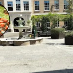 South London tackles online betting boom