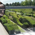 london police find body in thames harris park