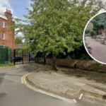 Discover Hidden Jungle Garden Astey's Row: North London Walk 2026