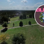 Field Day 2026 Line-up, Stage Times and Survival Guide: London 2026