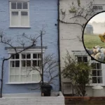 London Filming Hits: Jack Ryan, Sheep Detectives, Citadel, Legends - May 2026