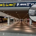 Qingdao Launches London-Sydney Air Cargo Hub via Capital Airlines, 2026