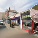 Beavers Save London Tube Station from Flooding: West London 2026