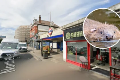 Beavers Save London Tube Station from Flooding: West London 2026