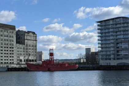 Boy Dies in Water Tragedy at Royal Victoria Dock East London 2026