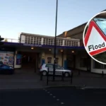 How Beavers Solved an Underground Flooding Crisis: London 2026