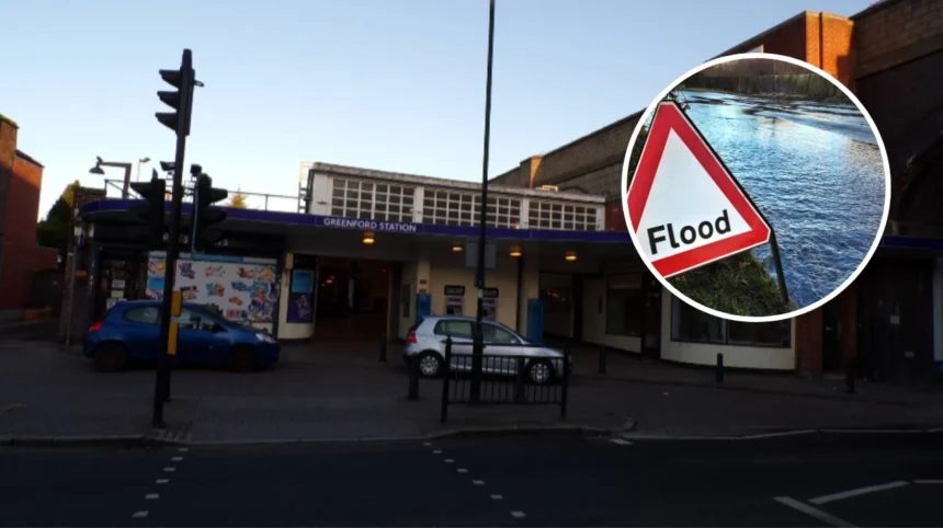 How Beavers Solved an Underground Flooding Crisis: London 2026