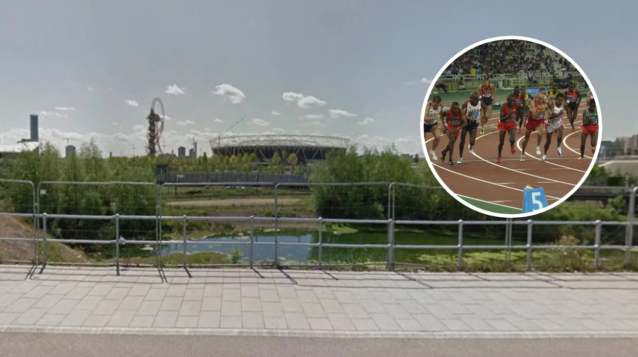 How the 2012 Olympics Transformed the Economy of Stratford (2026)