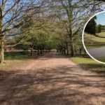 Most Scenic UK Running Routes: Richmond Park Named Top Ten (London, 2026)