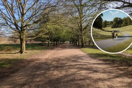 Most Scenic UK Running Routes: Richmond Park Named Top Ten (London, 2026)