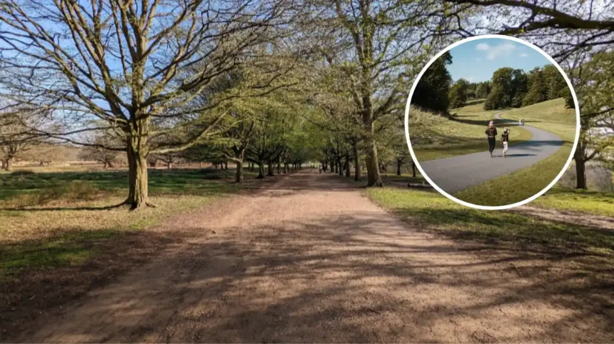 Most Scenic UK Running Routes: Richmond Park Named Top Ten (London, 2026)