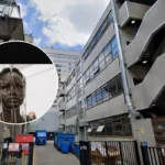 UAL Launches Free Public Art Exhibitions and Performances: South London 2026