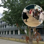 University of West London Students Tour Educational Musical: Ealing 2026