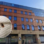 West London Man Forced to Sleep in Kitchen Due to Bed Bugs 2026