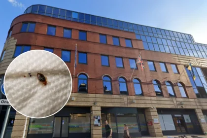 West London Man Forced to Sleep in Kitchen Due to Bed Bugs 2026