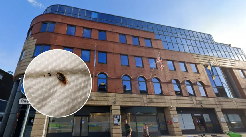 West London Man Forced to Sleep in Kitchen Due to Bed Bugs 2026