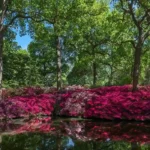 Best Peaceful Hidden Attractions and Parks in London | London