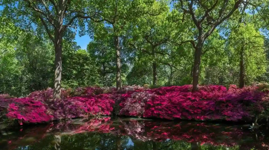 Best Peaceful Hidden Attractions and Parks in London | London