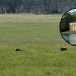 Bridgerton Filming Location West Wycombe Park Reopens: High Wycombe 2026