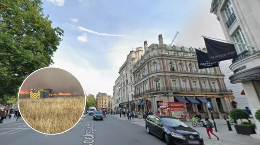 Extreme Wildfire Risk Issued For London Heatwave London 2026