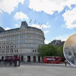Garden Wildfire Warning and Barbecue Ban Issued in London 2026
