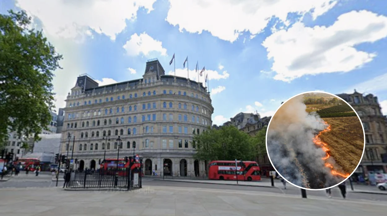 Garden Wildfire Warning and Barbecue Ban Issued in London 2026
