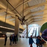 Harry Kane Skechers KANEary Wharf Station Rebrand London 2026
