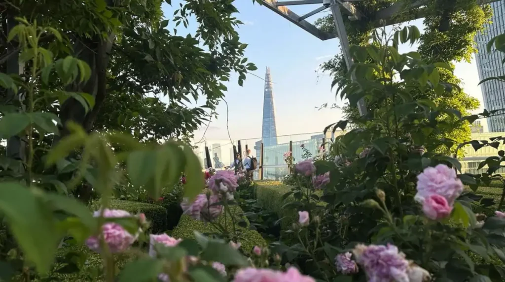 How do Londons rooftop gardens contribute to urban conservation and sustainability