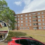 Is Forest Hill London's Best Hidden Neighbourhood Property & Lifestyle Review 2026