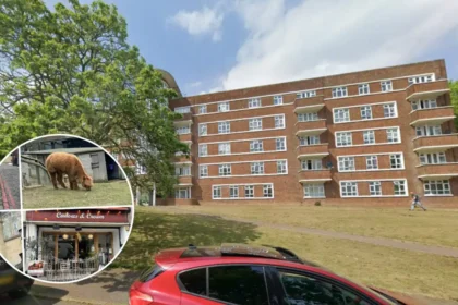 Is Forest Hill London's Best Hidden Neighbourhood Property & Lifestyle Review 2026