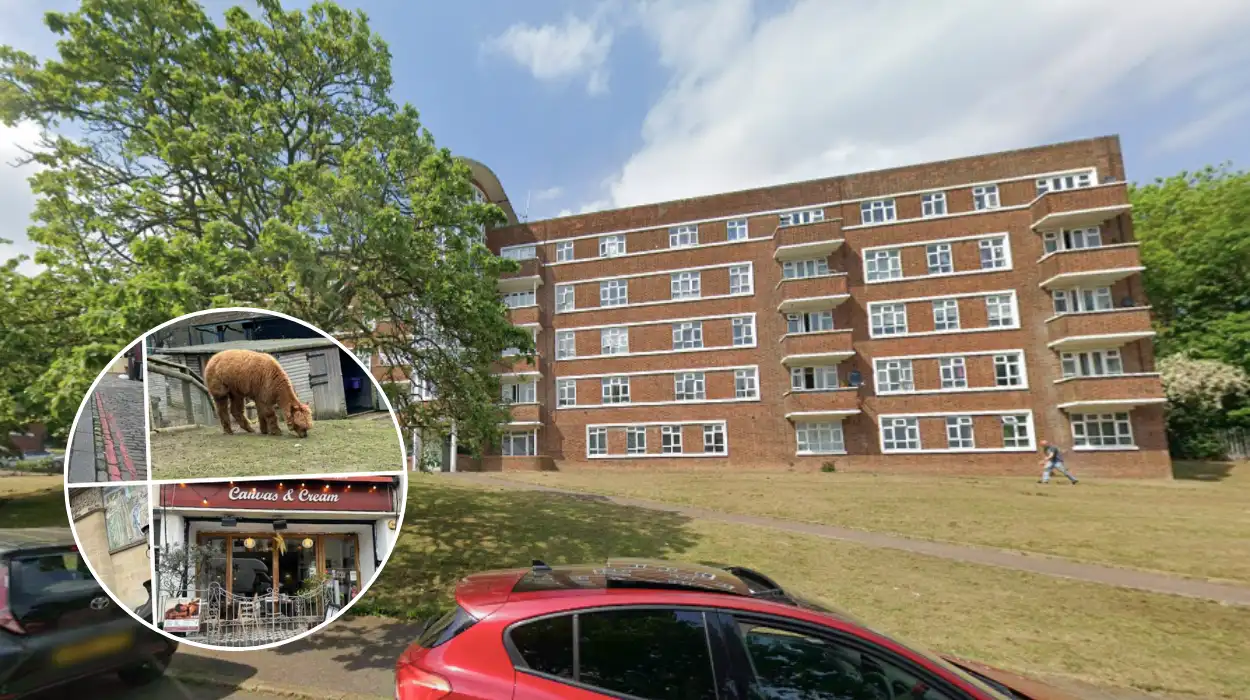Is Forest Hill London's Best Hidden Neighbourhood Property & Lifestyle Review 2026