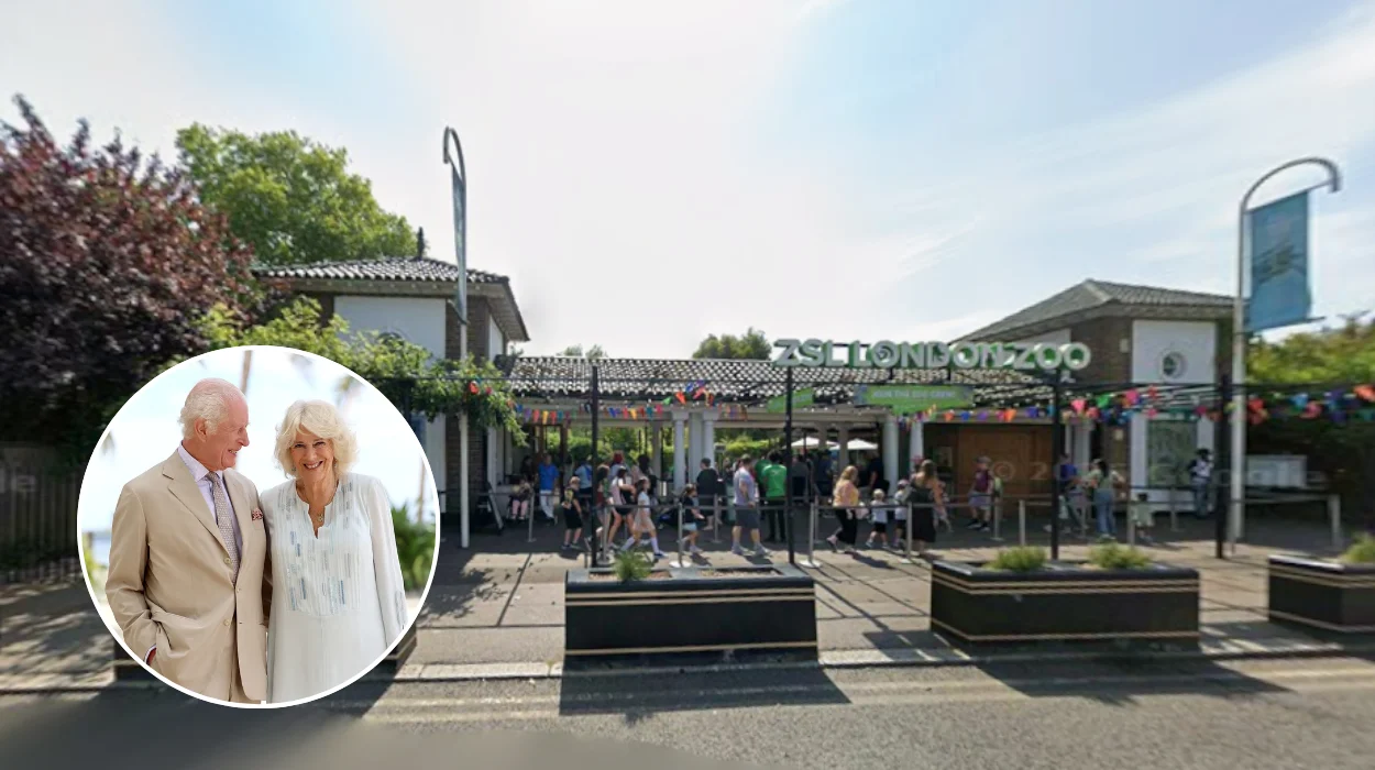 King Charles and Queen Camilla Celebrate ZSL at London Zoo 2026