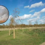 London Wildfires Rage as Drought Grips Havering 2026