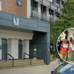 UWL and Hounslow Council Launch Free Skills Courses Ealing 2026