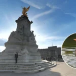 Waterfowl and Historic Pelican Hatchings at St James’s Park London 2026
