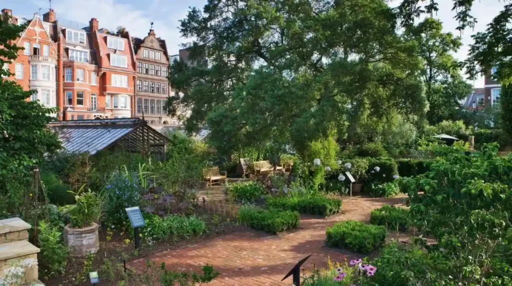 What makes Chelsea Physic Garden one of Londons most important historic gardens