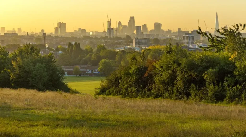 Where can visitors enjoy a picnic beside historic water and public debate