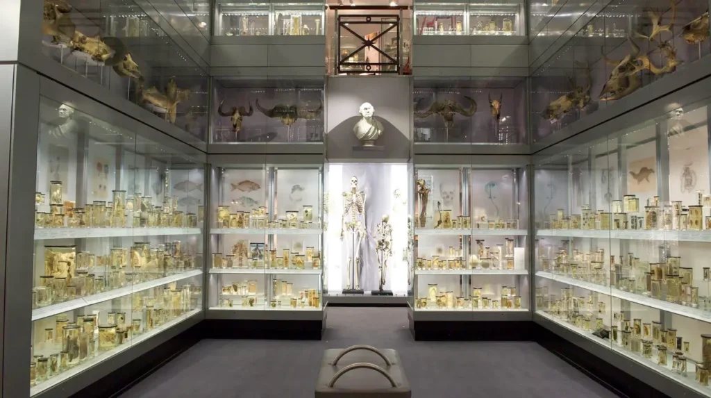Why are Londons lesser known museums important to the history of the capital