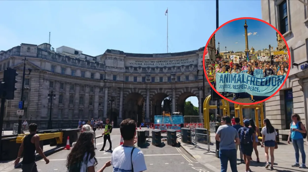 Animal Rights Protests Erupt Over Factory Farming in London 2026