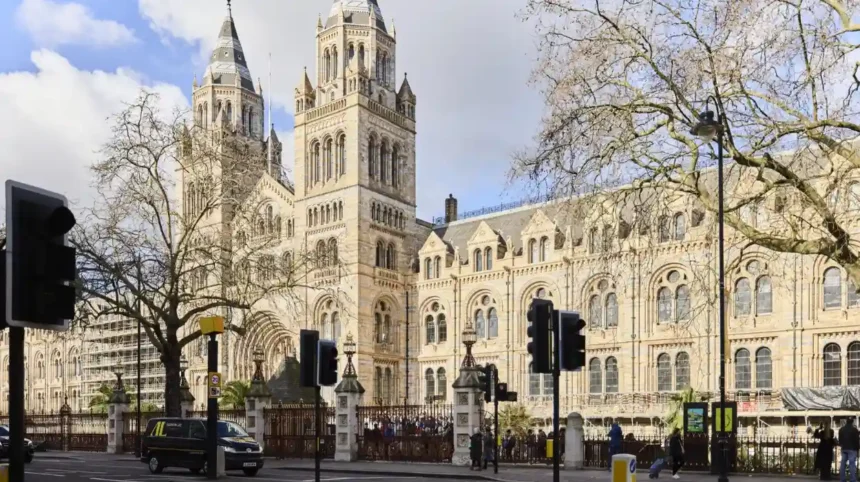Best Family Activities in South Kensington for Museums, Parks, and Educational Adventures