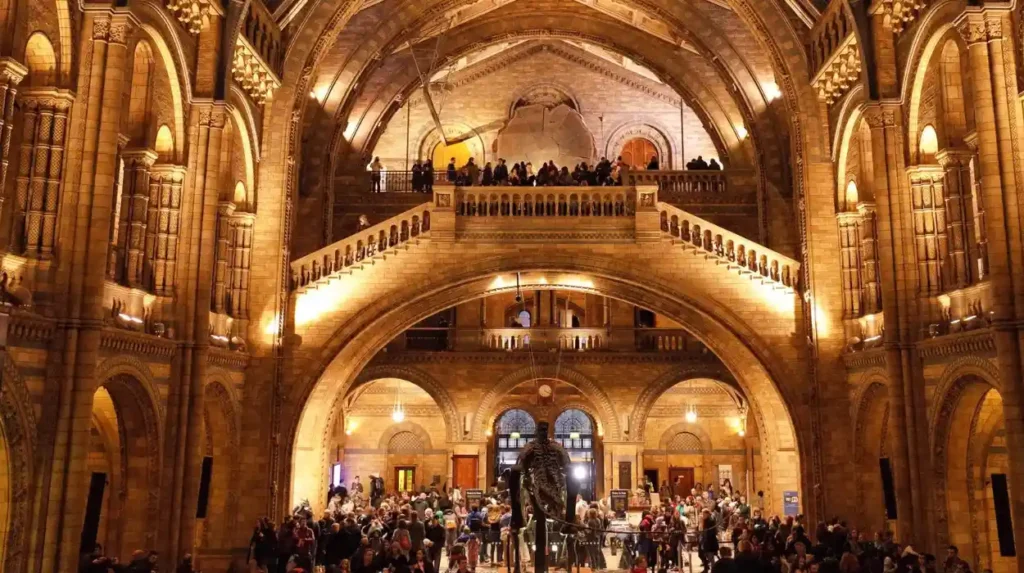 How did museums shape educational family entertainment