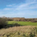 Human Bones Found at Hounslow Park in London, 2026