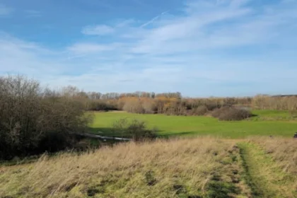 Human Bones Found at Hounslow Park in London, 2026