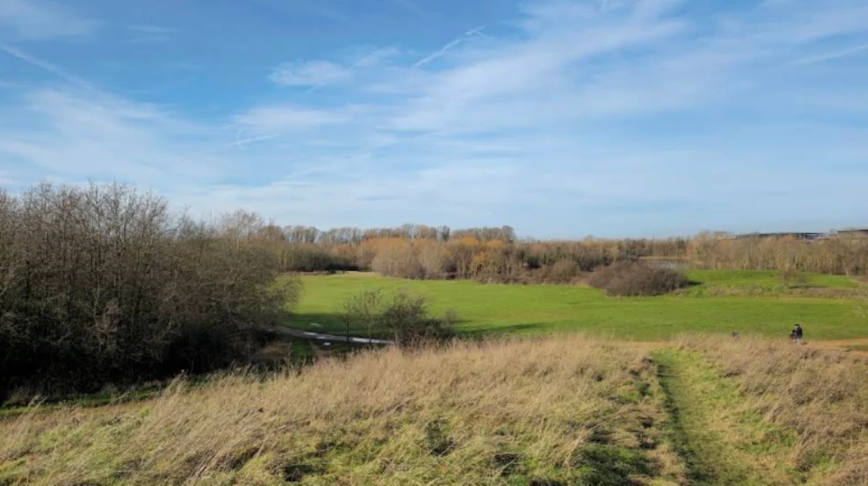 Human Bones Found at Hounslow Park in London, 2026